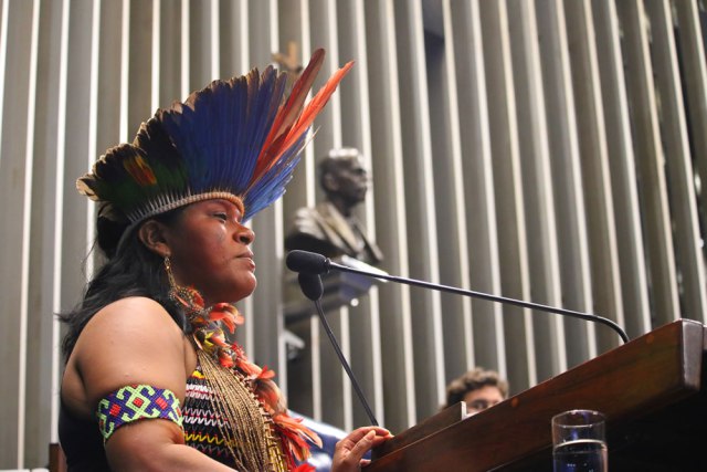 sonia_guajajara_congresso2