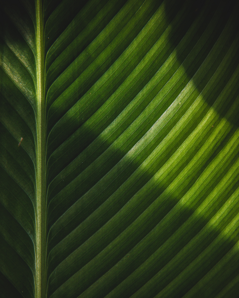 [Brecho] Banner Brechó Fullbanner