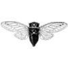 Inseto modelo cicada 