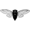 Inseto modelo cicada 