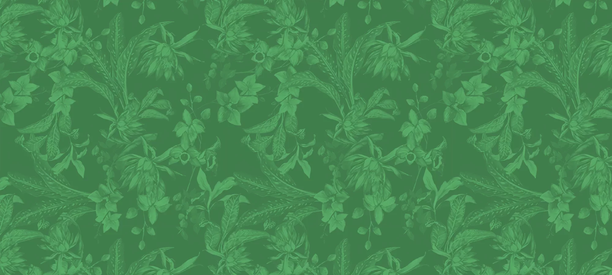 [Formas de Pagamento] Fullbanner Fundo