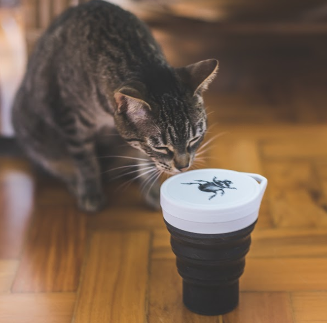 Copo Menos 1 Lixo Insecta