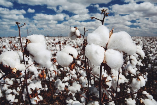 Processed with VSCOcam with f2 prese