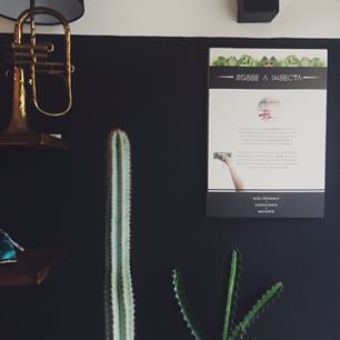 Vem pousar no casulo do besouro! Lima e Silva, 1519 - Porto Alegre. Estamos abertos das 14 às 20h