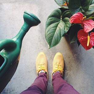 Jardinagem de domingo