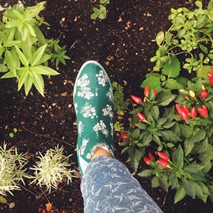 Desafio #piseverde  A foto mais criativa com o tema Pise Verde vai levar um par de Insecta! O prazo para a postagem é até domingo (10 de maio). Para participar basta postar uma nova foto no Instagram com a hashtag #piseverde, nos seguir e taguear o perfil @insectashoes. Fique ligado que o perfil tem que ser aberto para termos acesso à foto  Divulgaremos o resultado na próxima segunda!