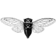 Inseto modelo cicada 