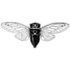 Inseto modelo cicada 