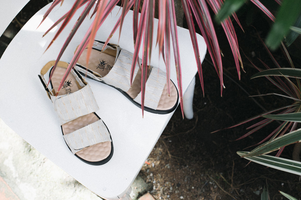 Insecta + Amni Soul Eco: fechamento de ciclo cada vez mais possível