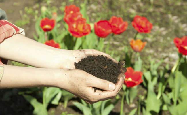 Compostagem urbana em grandes cidades é possível sim!