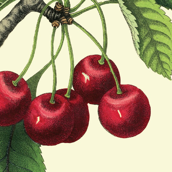 E-book Gratuito: 2016 Mais Consciente