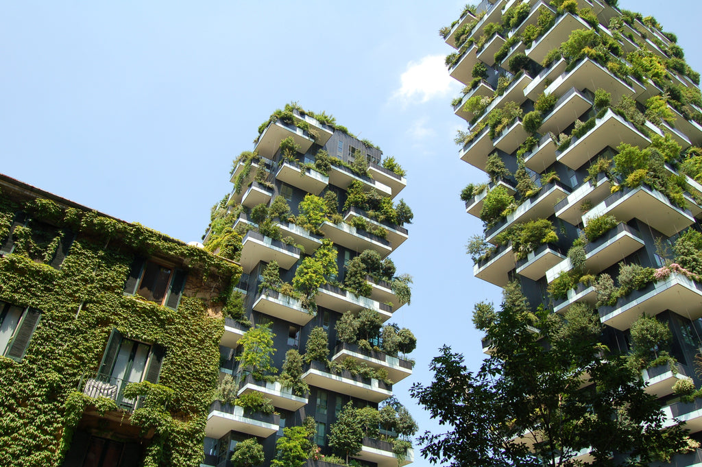 Eco-Gentrificação: viver mais verde está ficando inacessível?