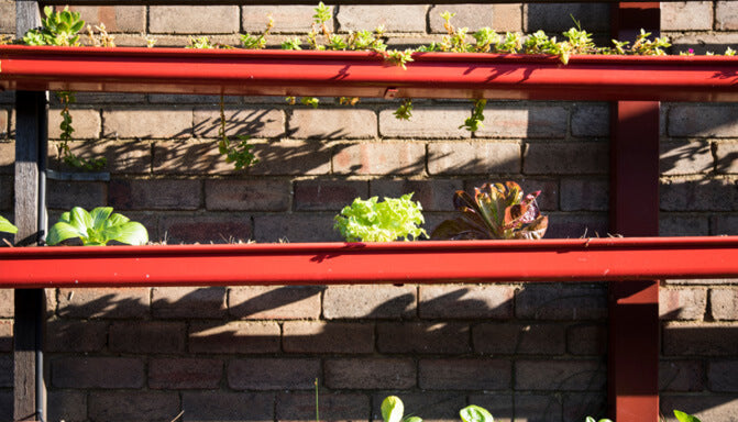 Pilares da sustentabilidade: entenda a importância