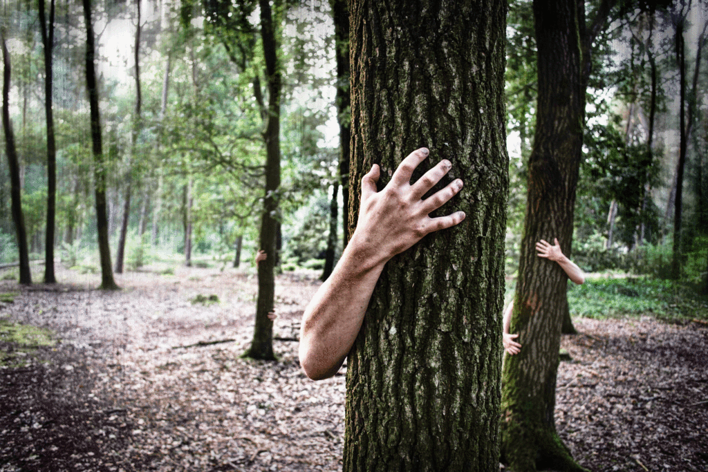 O que é Eco Ansiedade e o que fazer para evitar