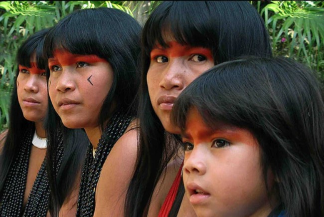 Foto do post Conheça um Pouco Sobre Feminismo Indígena no Brasil e sua Importância