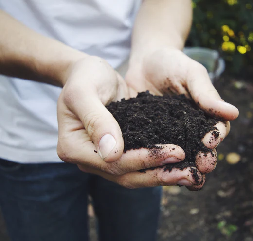 Foto do post Você só precisa de 2 galões de água pra começar a compostar em casa